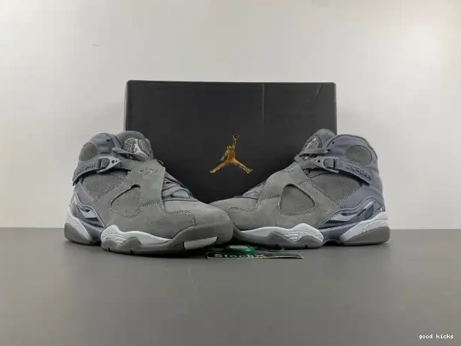 Rep 305381-014 Grey Retro Jordan 8 Cool 0608